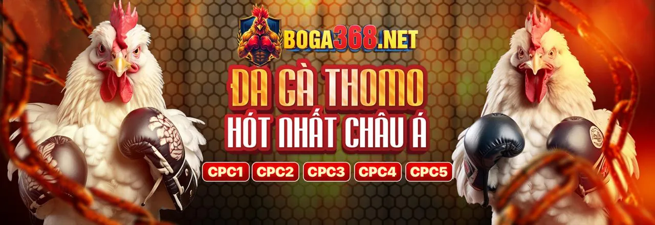 Điều khoản Dịch vụ của VB9, vb9 trang chủ chính thức