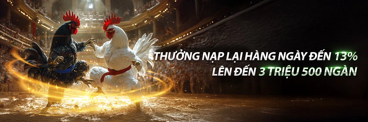 Hình ảnh đại diện Chính Sách Quyền Riêng Tư của VB9 Trang Chủ Chính Thức