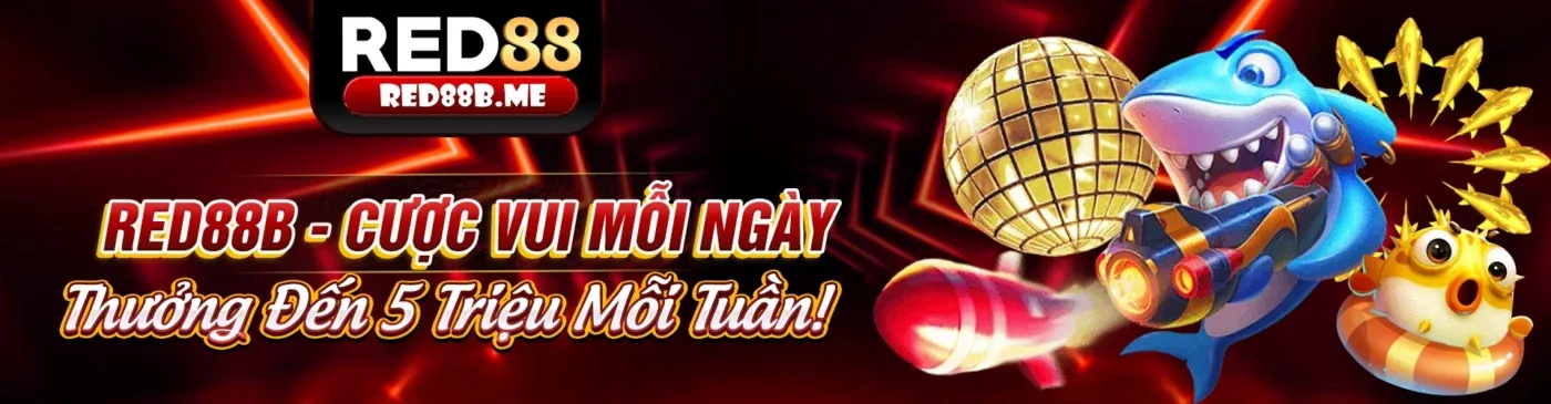 Người dùng tải ứng dụng VB9
