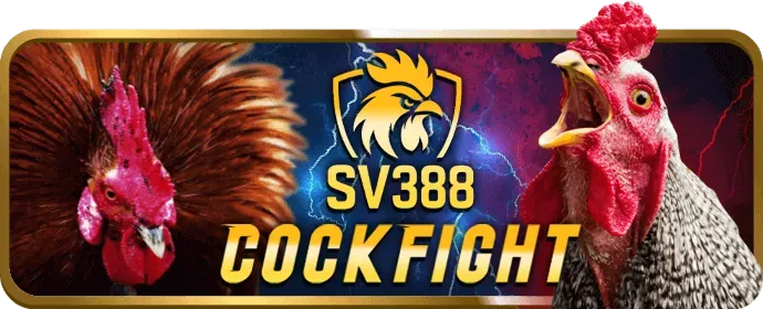 Hỗ trợ khách hàng 24/7 chuyên nghiệp từ VB9